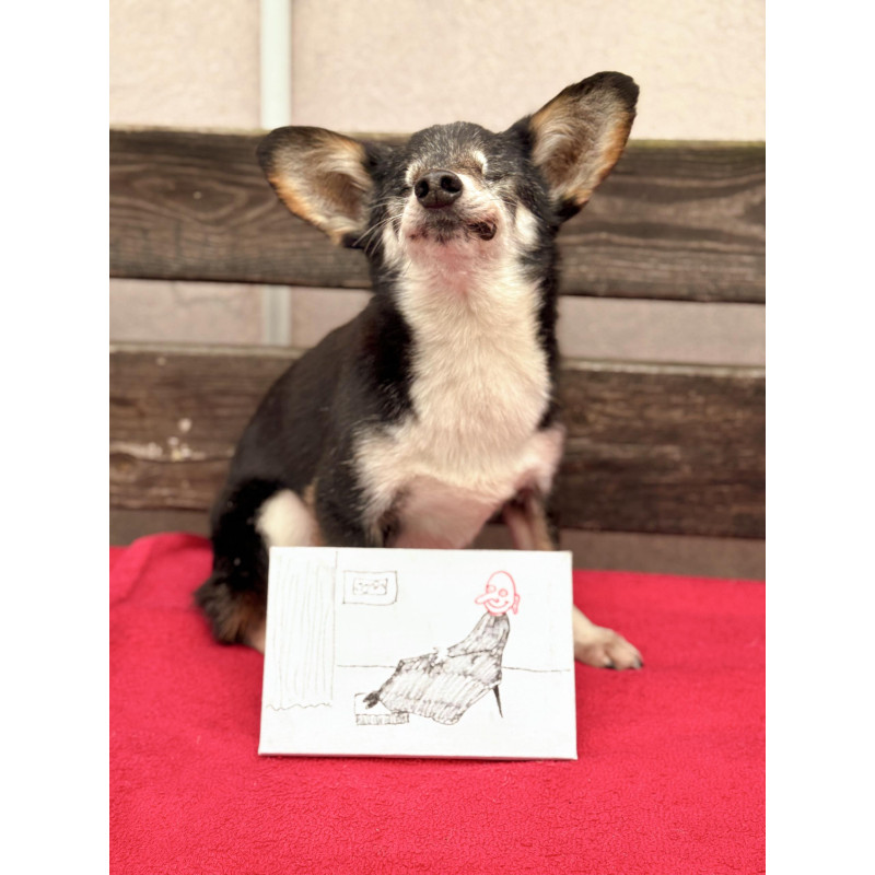 Oblaz stalej matki altysty