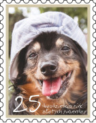 WIRTUALNE CegiełkI Wsparcia