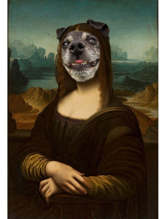 Karolek (Leonardo da Vinci