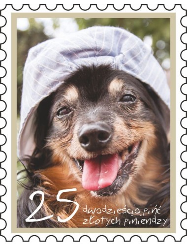 Cegiełka Wsparcia (wirtualna)