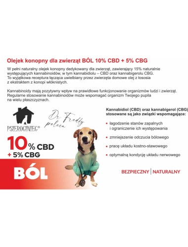 Olejek konopny dla zwierząt Ból 15%